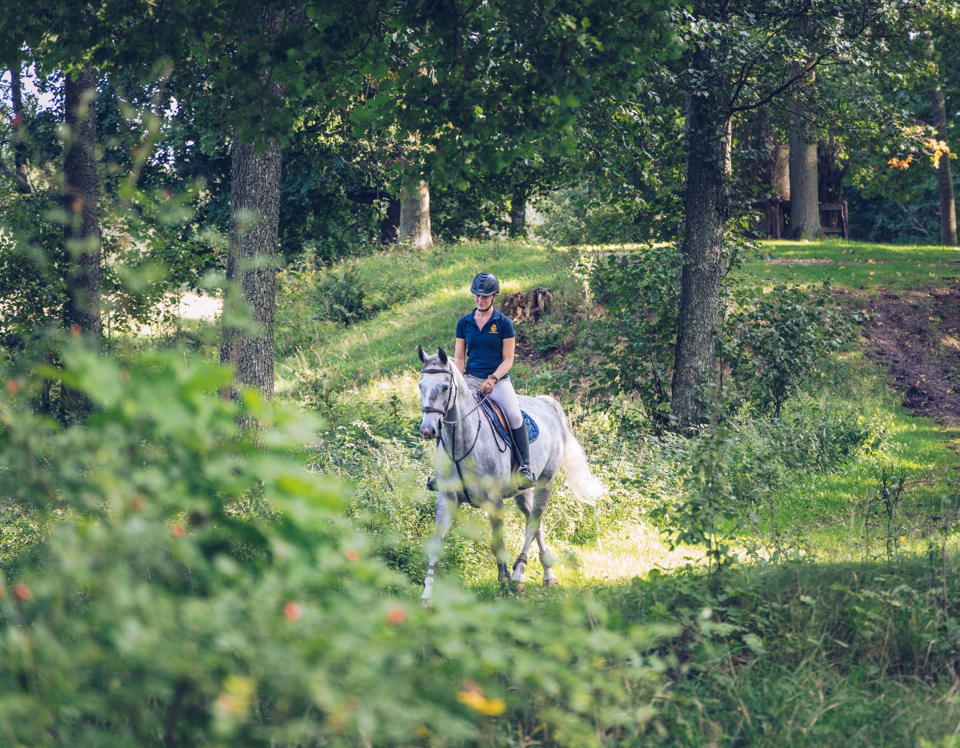 Häst och ryttare ute och rider i skogen för Agriaritten.