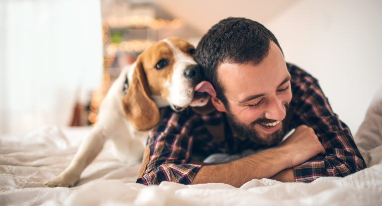 Forskning kan bidra till lyckligare hundar.