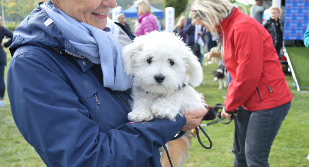 Agrias Hundpromenad samlade in 36 000 kronor till Hundstallet Agria