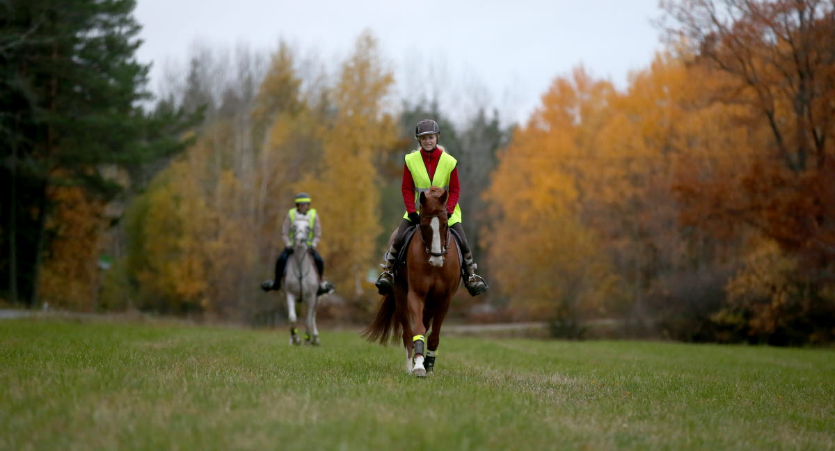 Häst rider för singlar