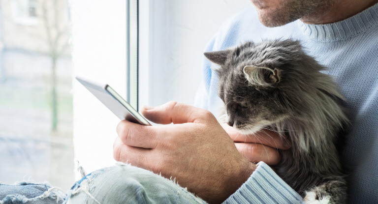 Katt som ska genomföra en digital hälsokoll via Agria Vårdguide