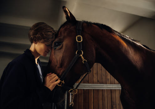 Häst som är försäkrad i Agria står tryggt i stallet tillsammans med sin ägare.