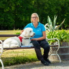 Moltas arbetar som certifierad terapihund och är en labradoodle på 9 år. 