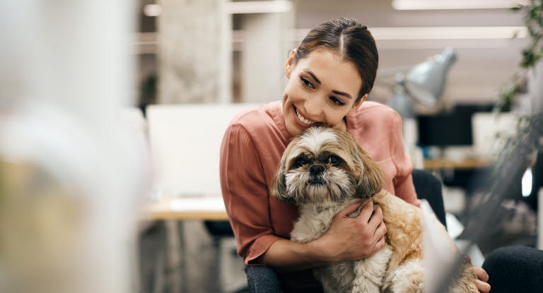 Hund på jobbet ökar lyckokänslan och minskar stress. 