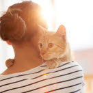 Felv är en allvarlig sjukdom som försämrar kattens immunförsvar. 