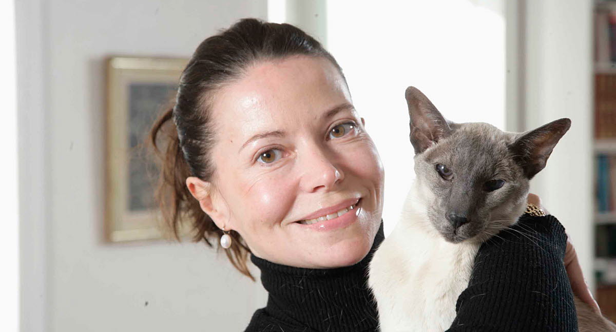 min katt är hård i magen min katt är hård i magen