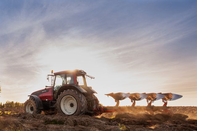 Traktor som harvar åker