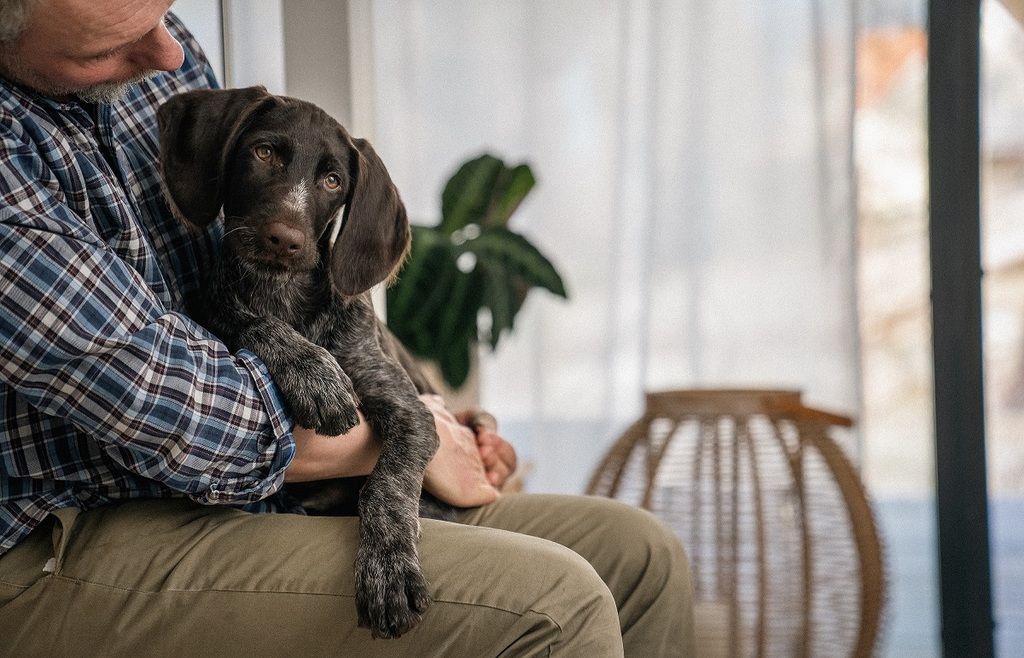 Agria och SKK forskningsfond bjuder in till ett forskarseminarium med hunden i centrum.
