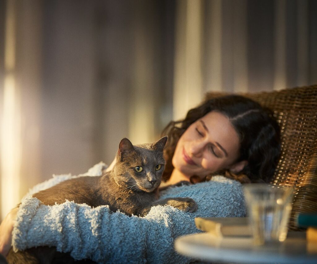 Köpa katt - tips och råd