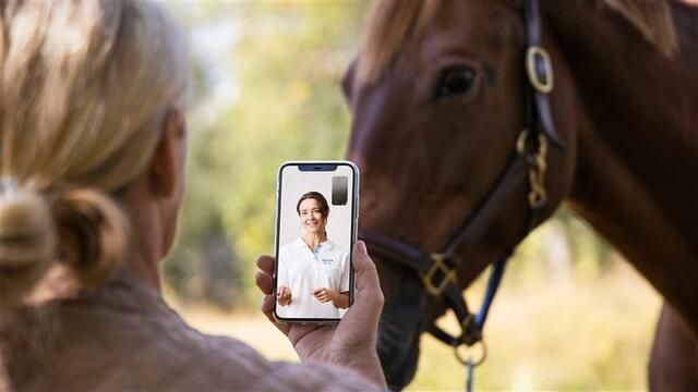 Hästägare pratar med veterinär i Agria appens sjukvårdsrådgivning.