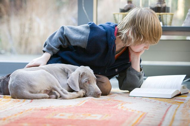 Barn läser tillsammans med hund