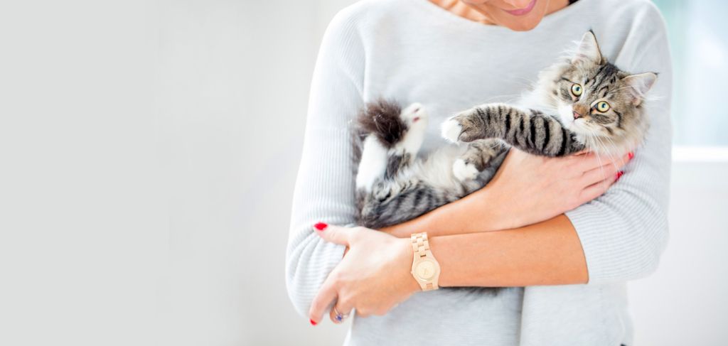 Din katt behöver inte en ny kattkompis – den behöver mer av dig!