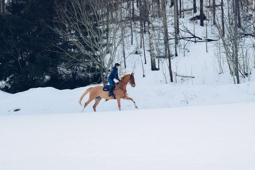 Ryttare som galopperar i vinterlandskap.