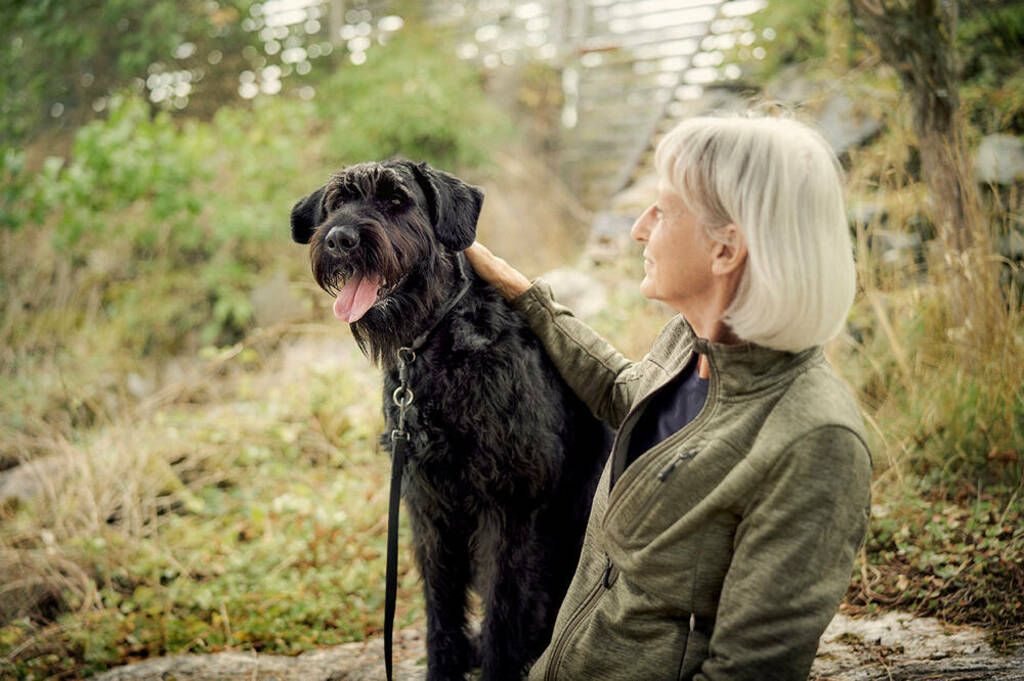 Hund med sin ägare på skogspromenad.
