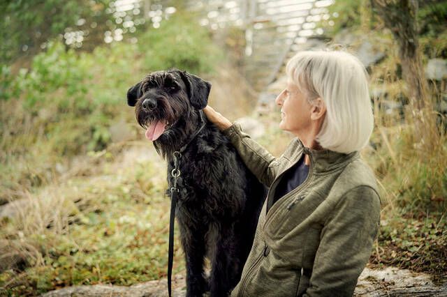 Hund med sin ägare på skogspromenad.