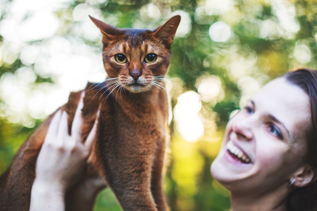 Kvinna lyfter katt utomhus