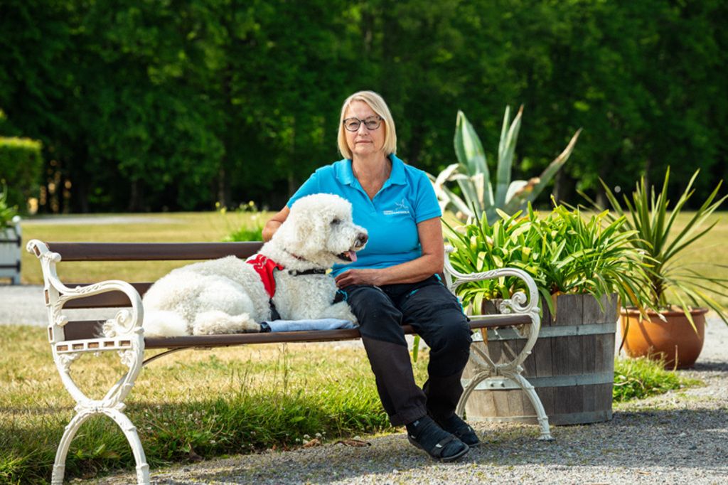 Moltas arbetar som certifierad terapihund och är en labradoodle på 9 år. 