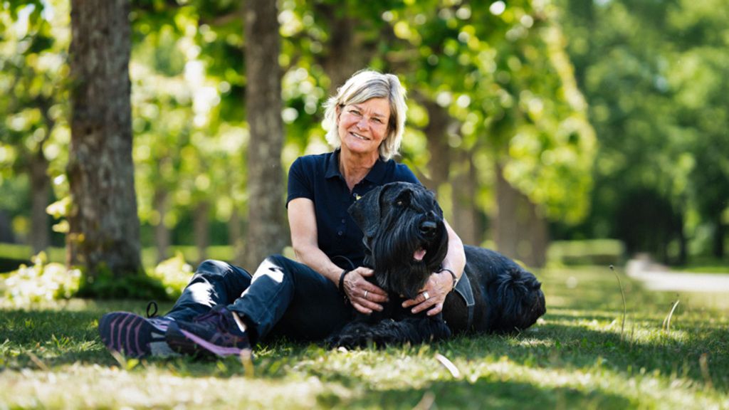 Antidopinghunden Lykke är en 3 år gammal Riesenschnauzer.