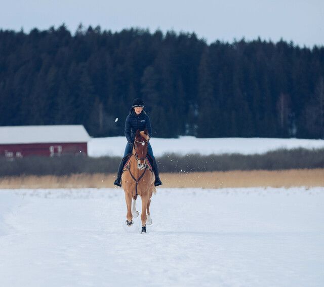 Anna Freskgård galopperar i snön