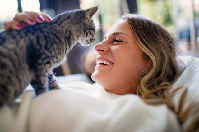 Slickar din katt på dig och har du någonsin undrat varför din katt gör så