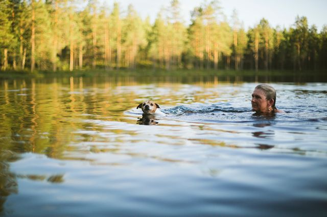 Hund som simmar med sin matte 