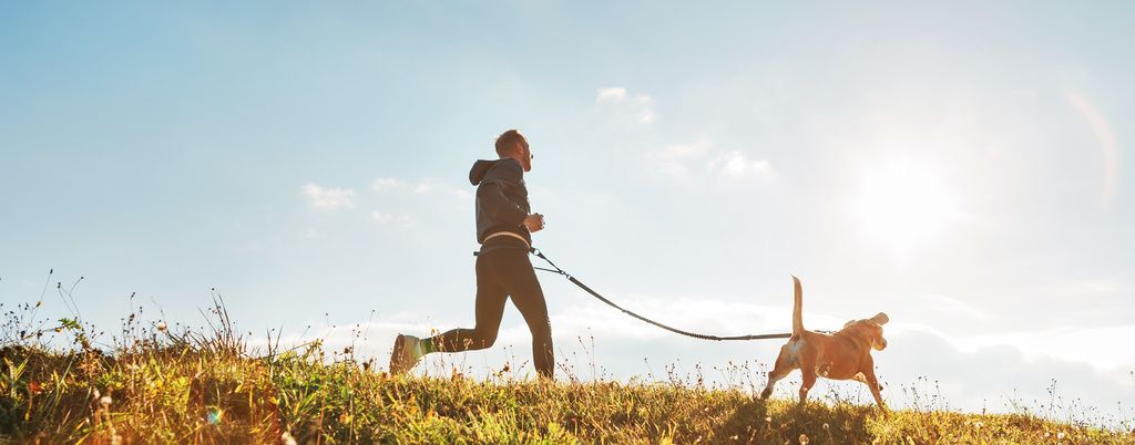 Man löptränar med hund