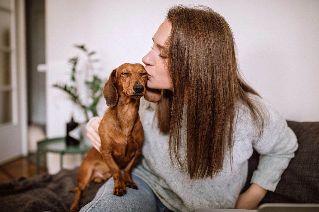 Nya djurskyddsregler för dig med hund