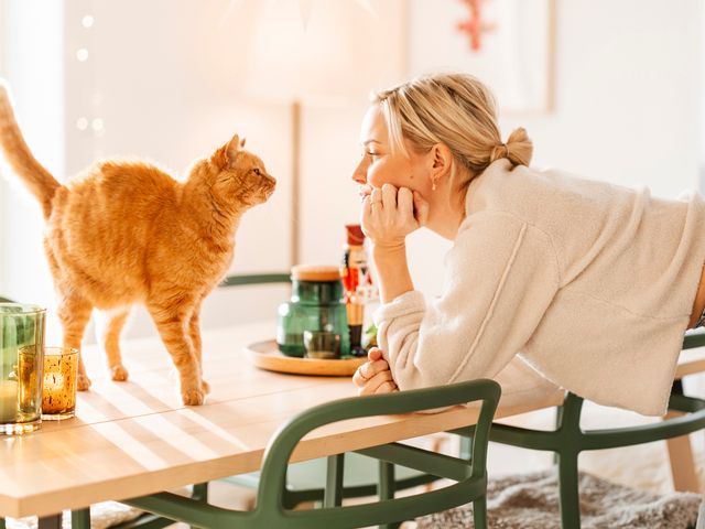 Att en katt ger sig på sin ägare utan att kattägaren förstår anledningen kallas för omriktad aggression