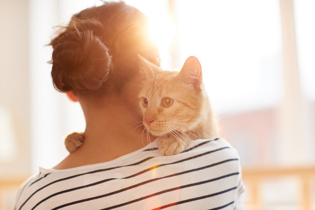 Katt som blir buren av sin matte.