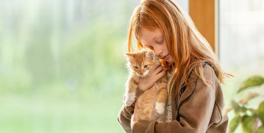 Börja socialisering tidigt för att få en social katt