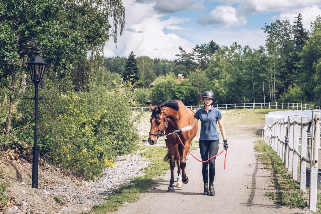 Kvinna i kortärmad tröja leder sin häst från hagen.