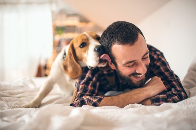 Hund slickar husses kind i sängen