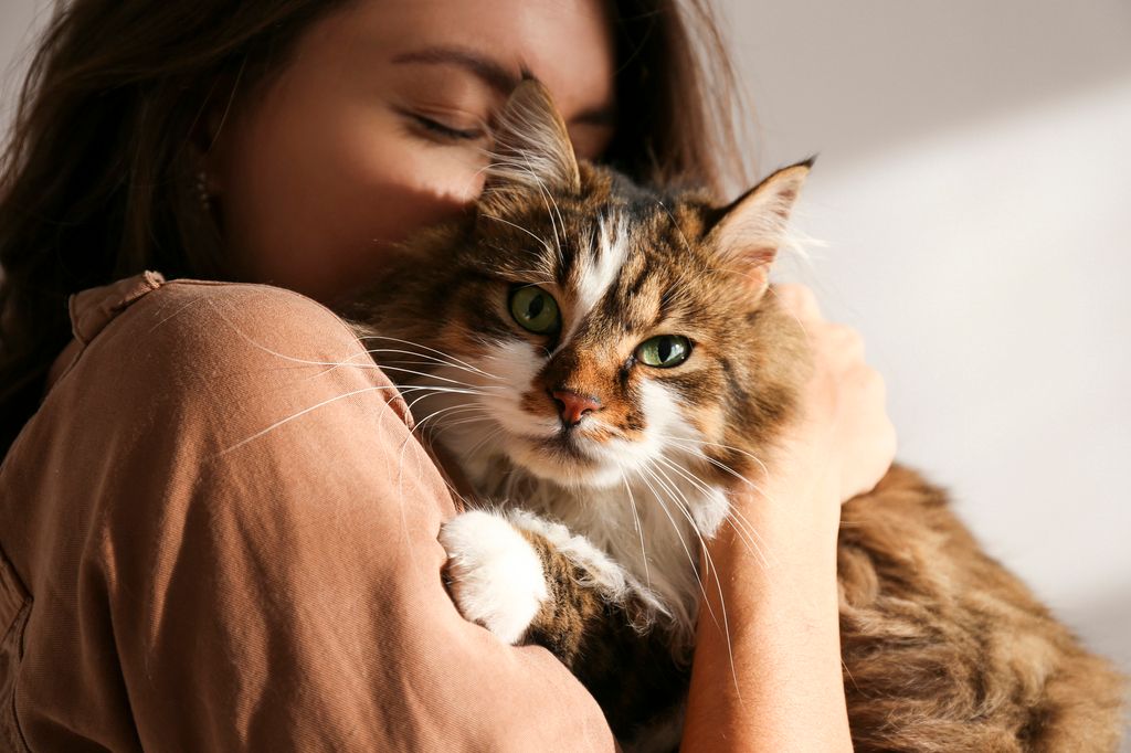 Känner katten känslor som oss?