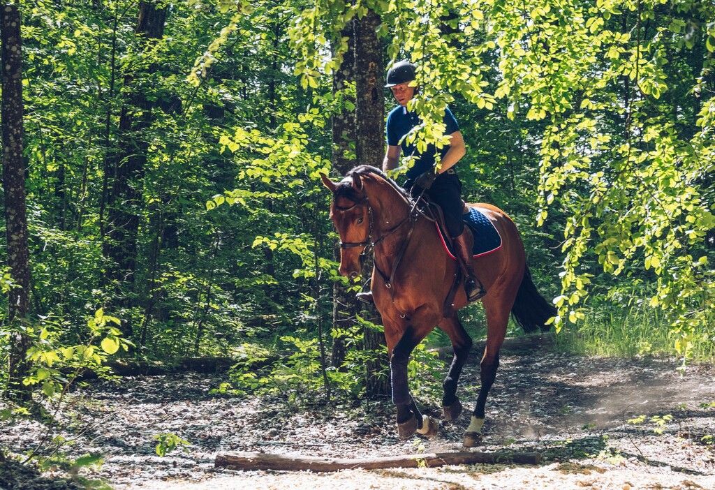 Jens Fredricson och Markan Cosmopolit tränar på Agria Naturbana.