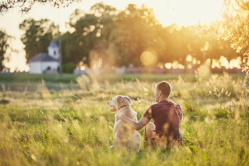 Hund och ägare sitter på en äng.