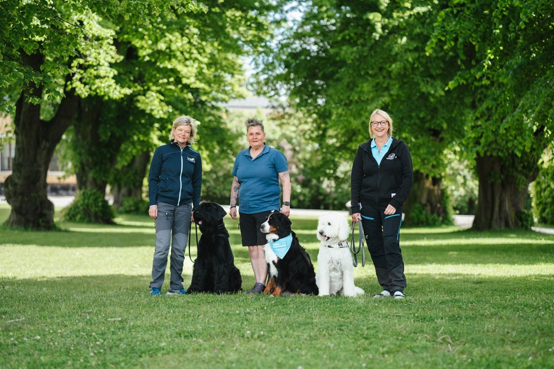 Agrias hjältehundsteam består av sex hundar. Antidopinghunden Lykke, terapihundarna Moltas och Vilja och räddningshundarna Killian och Bruse.