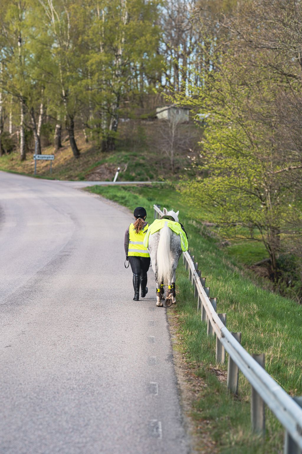 Kvinna leder sin häst på höger sida av trafikerad väg.