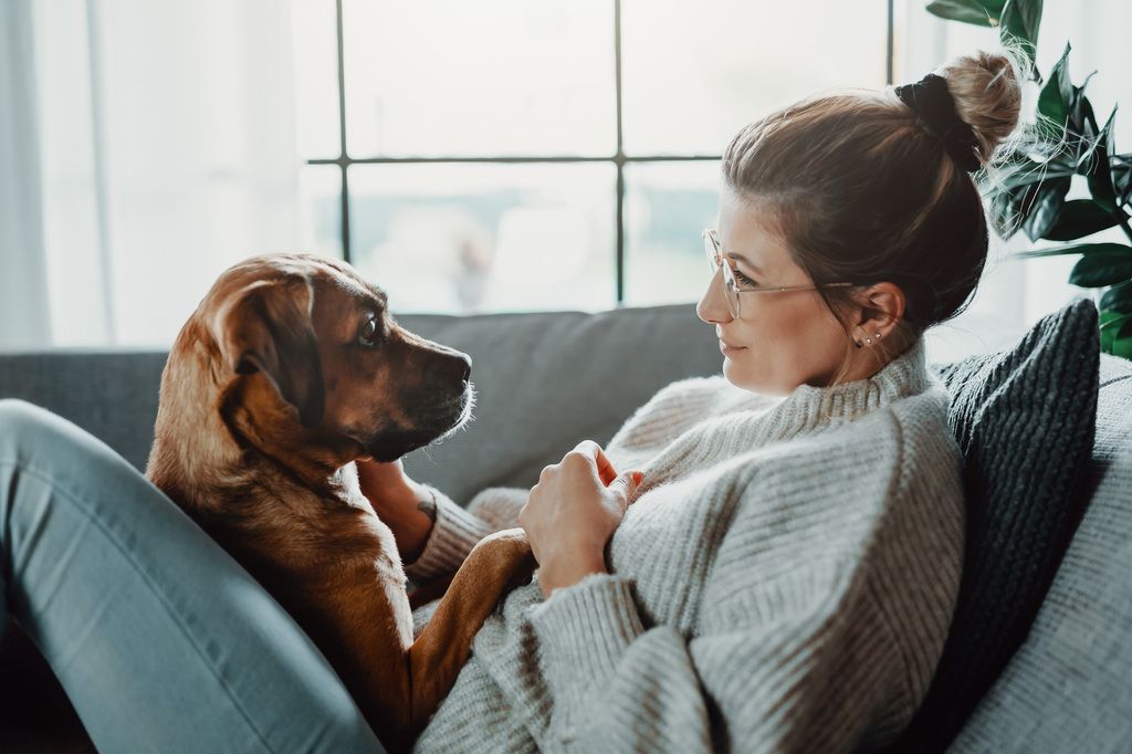 Hund och matte sitter i soffan och tittar på varandra