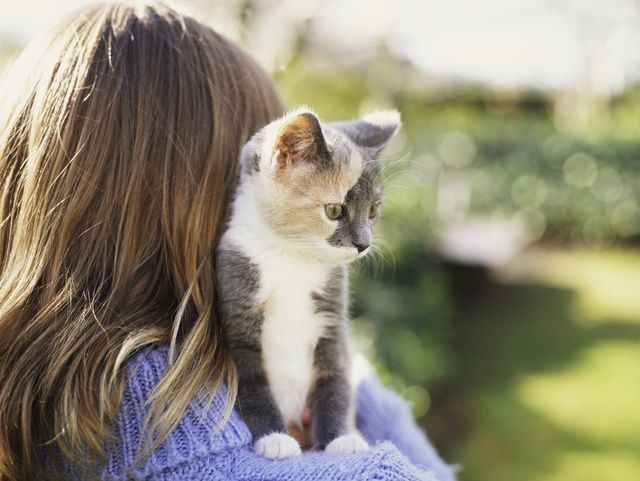 Kattunge på flickas axel