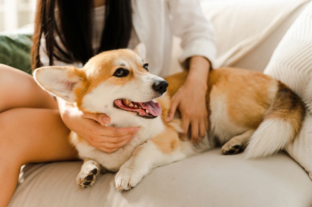 Kvinna känner igenom sin hund för att upptäcka förstorade lymfkörtlar i tid