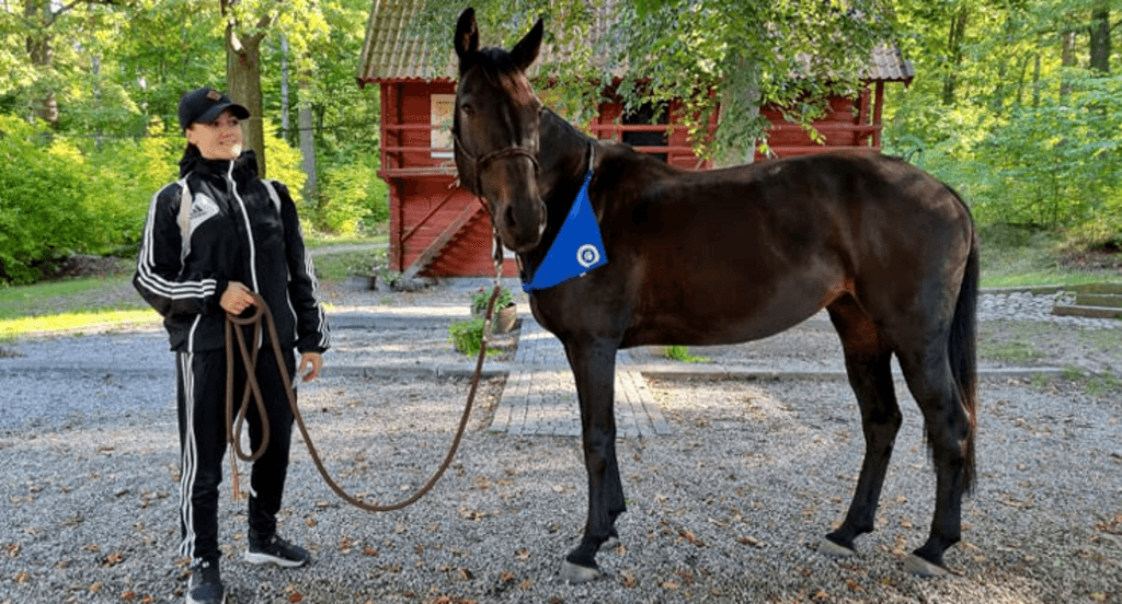 Hästen Diva som deltog i Agria Hundpromenad 2021.