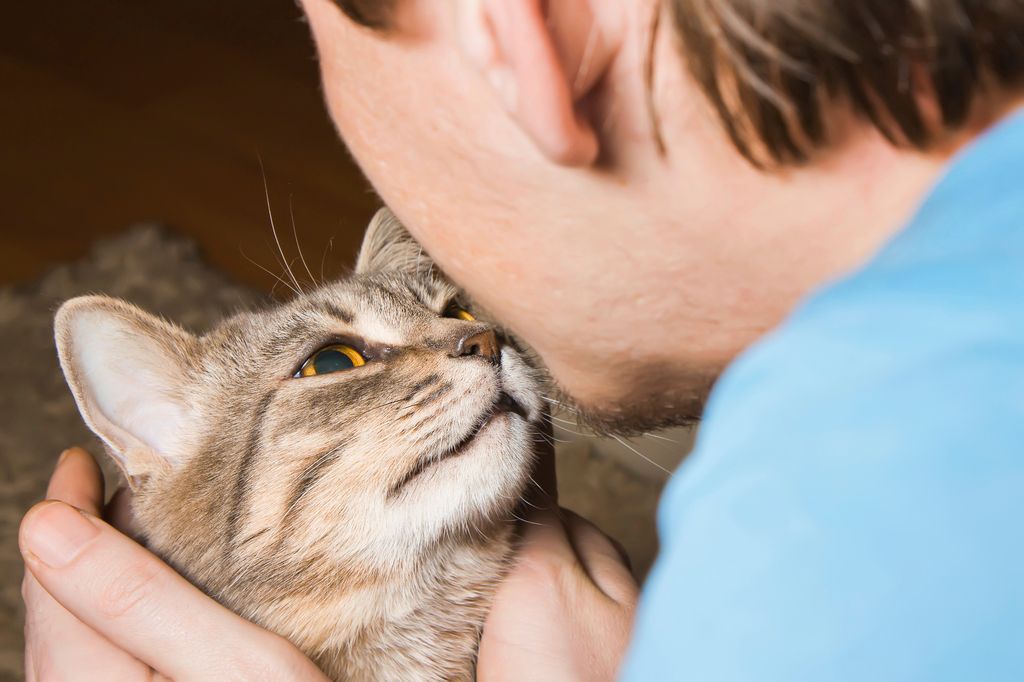Katt och människa tittar på varandra