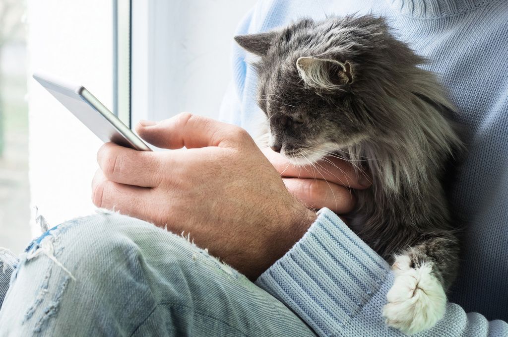 Kvinna med katt i knät som kontaktar Agrias sjukvårdrådgivning via sin mobil.