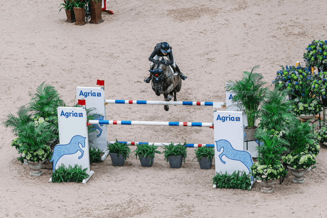 Häst och ryttare hoppar över ett Agriahinder under Gothenburg Horse Show 2024.