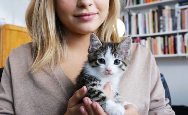 Matte håller om sin kattunge.