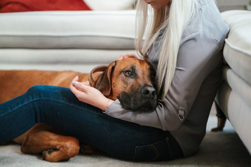 Hund med sin ägare 