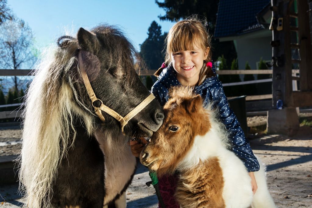 En flicka med två ponnyer