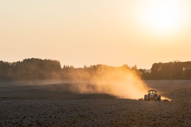 Arbete på åkern i gryningen.