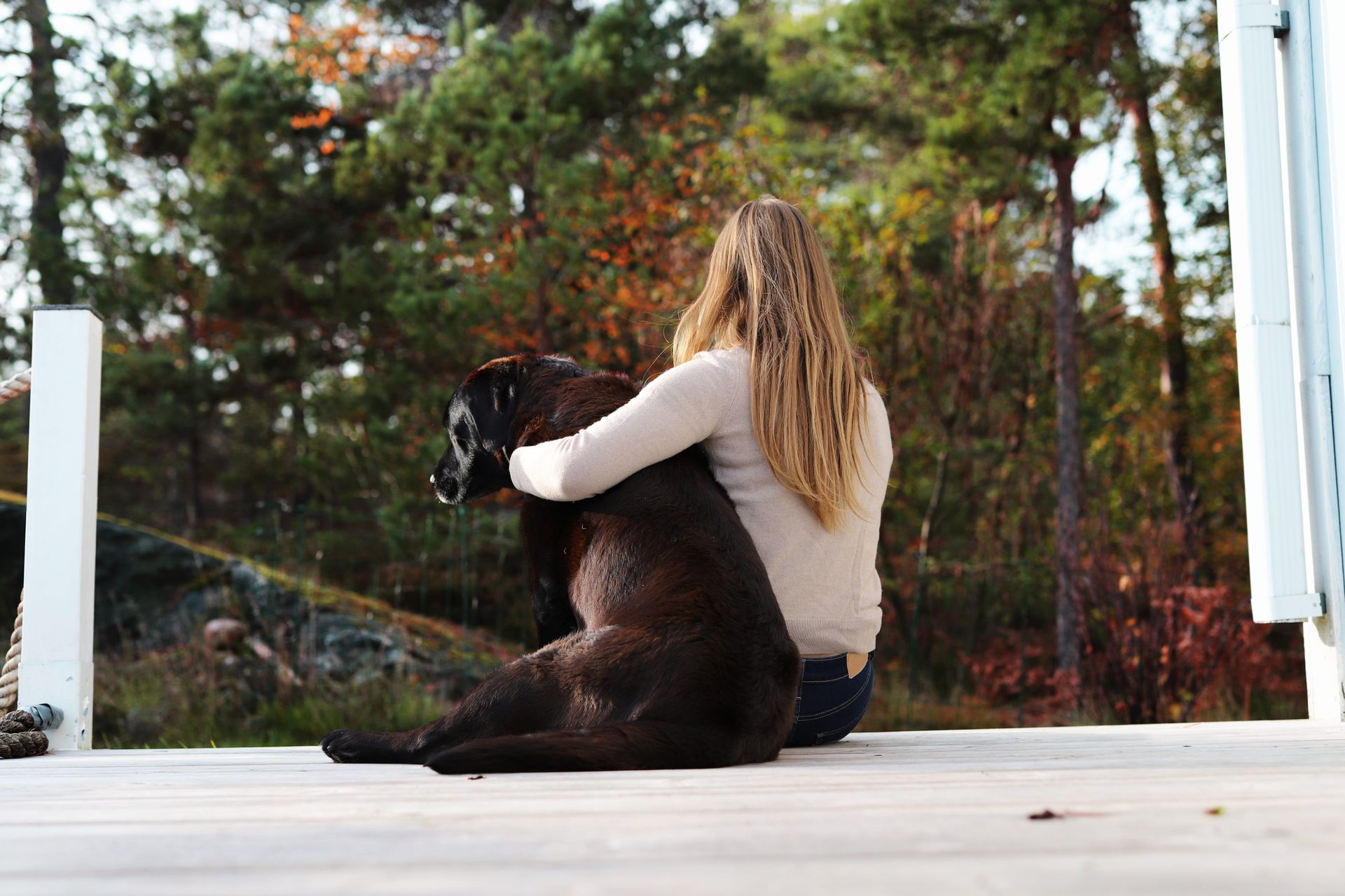 Matte kramar om sin gamla hund.