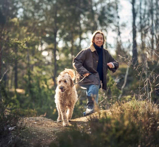 Hund på promenad med matte.